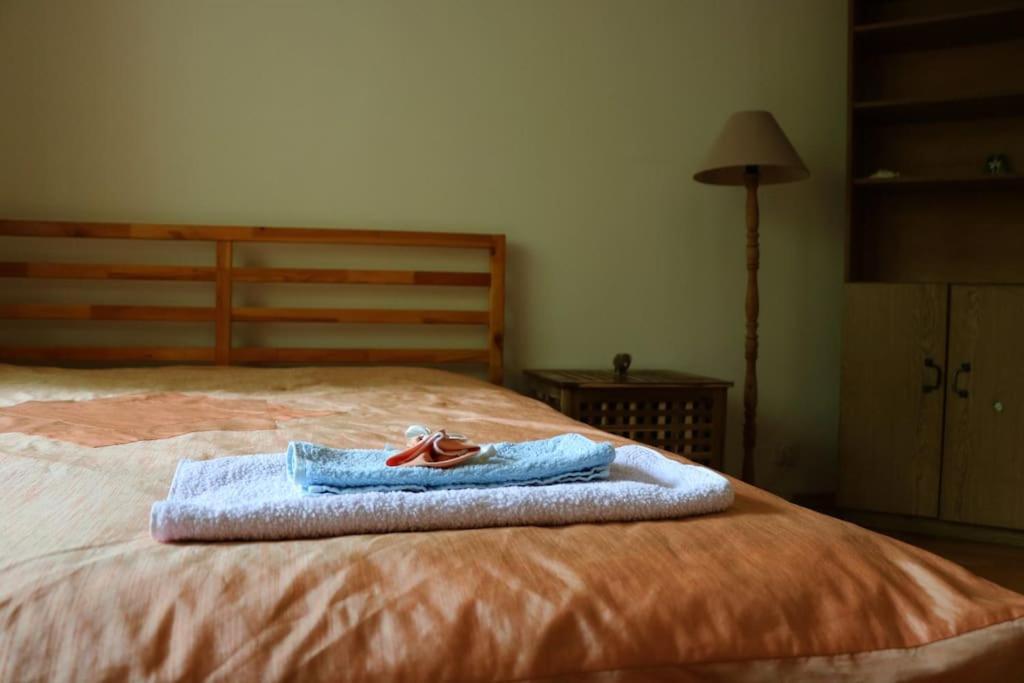 Beautiful Flat In Central Location By Flat Mаnager โซเฟีย ภายนอก รูปภาพ